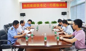 熱烈歡迎張書記一行蒞臨居然之家安徽分公司合肥長江東路店調(diào)研指導(dǎo)！